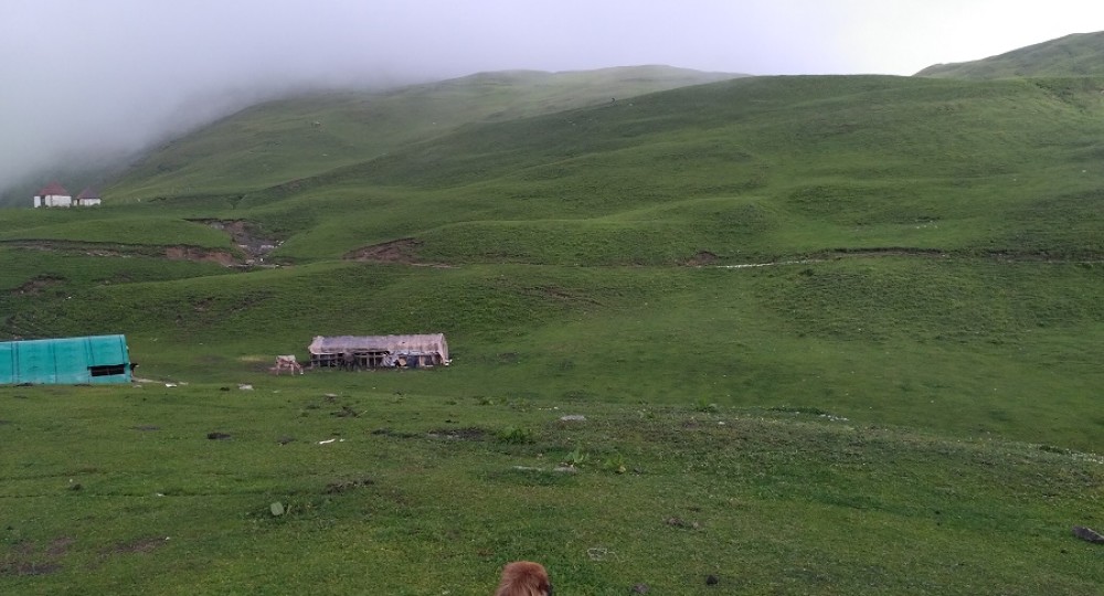 At bedni bugyal camp site