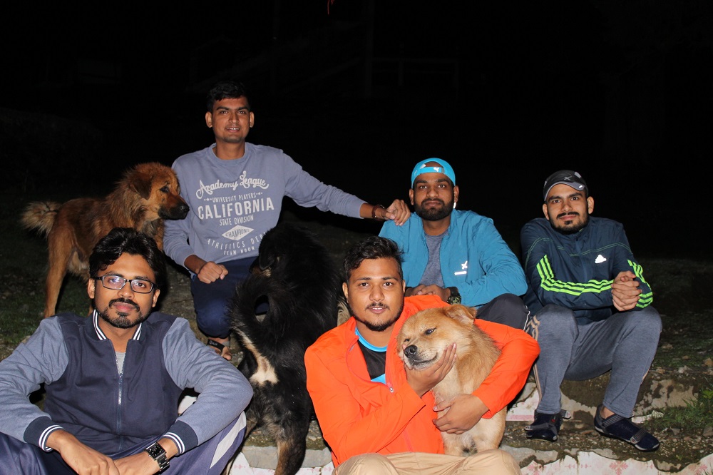 Local Dogs who trek Roopkund with us