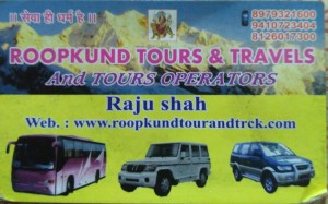 Raju Shah Roopkund Tours and Travels 