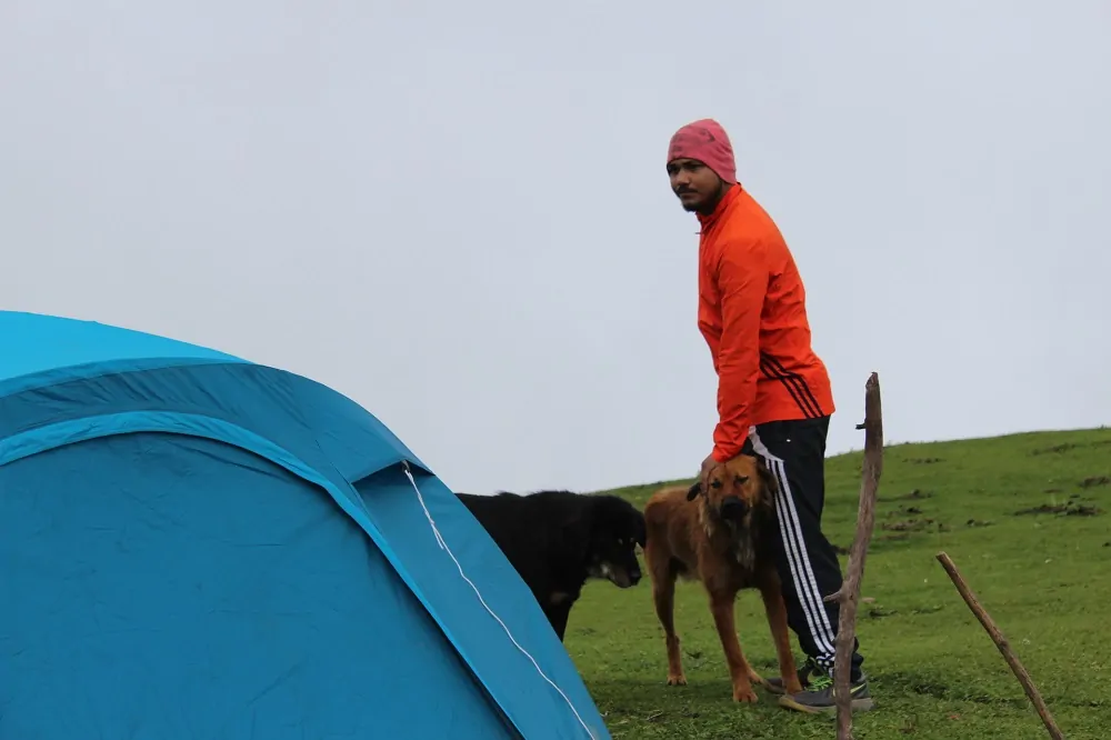 Allowing dogs to sleep in our tent