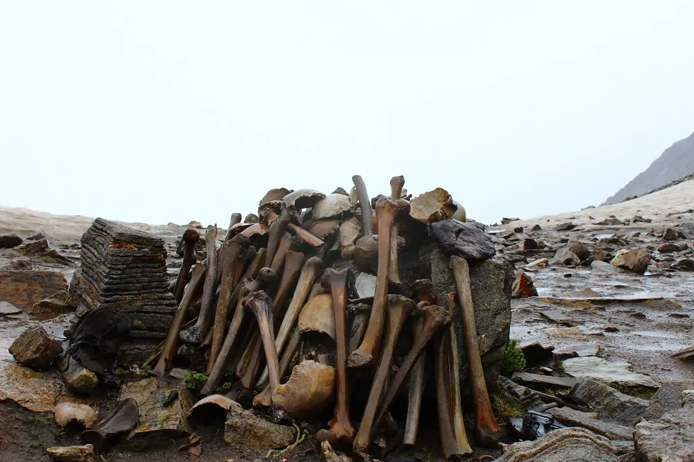 Dead people skeleton at Roopkund